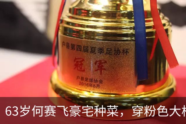 63岁何赛飞豪宅种菜，穿粉色大棉袄踩老布鞋，戴翡翠镯子难掩贵气